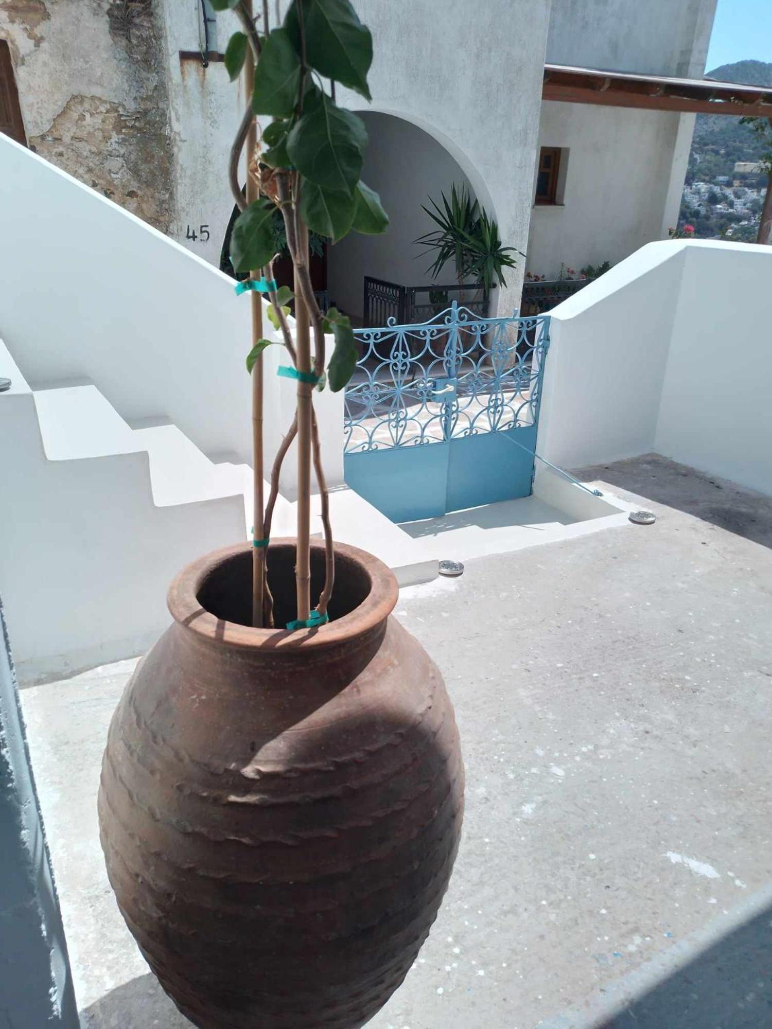 Blue House Villa Koronos Exterior foto